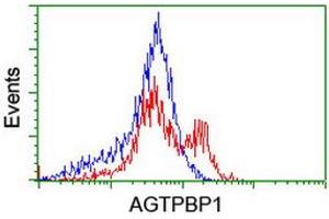 Flow Cytometry (FACS) image for anti-ATP/GTP Binding Protein 1 (AGTPBP1) (AA 368-753) antibody (ABIN2715807) (AGTPBP1 Antikörper  (AA 368-753))
