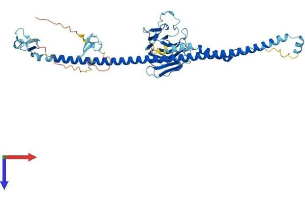 TRIM15 Protein (AA 1-465) (His tag)