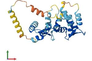 Protein Structure (PS) image for Kv Channel Interacting Protein 1 (KCNIP1) (AA 1-227) protein (His tag) (ABIN7561568)