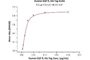 Immobilized Cetuximab at 2 μg/mL (100 μL/well) can bind Human EGF R, His Tag (ABIN2180998,ABIN6253725) with a linear range of 0. (EGFR Protein (AA 25-645) (His tag))