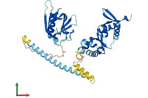 Protein Structure (PS) image for Vacuolar Protein Sorting 36 (VPS36) (AA 1-386) protein (His tag) (ABIN7545074)
