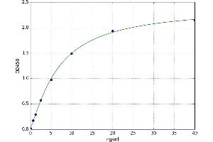 Lumican (LUM) ELISA Kit