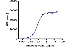 Human AXL HEK293 cells were stained with Anti-AXL / UFO Reference Antibody (tilvestamab) and negative control protein respectively, washed and then followed by PE and analyzed with FACS, EC50=0. (Rekombinanter AXL (Tilvestamab Biosimilar) Antikörper)