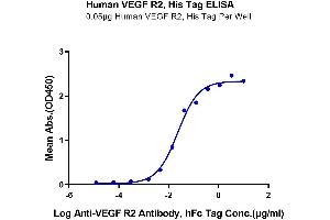 ELISA image for VEGF Receptor 2 (VEGFR2) (AA 20-764) protein (His-Avi Tag) (ABIN7275837)