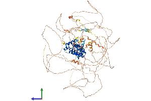 AlphaFold protein structure predicition of Mouse Recombinant Arhgap30 Protein, UniprotID Q640N3