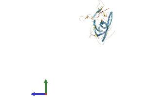 Protein Structure (PS) image for Golgin A3 (GOLGA3) (AA 1-1487) protein (His tag) (ABIN7563454)