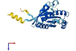 ARFRP1 Protein (AA 1-201) (His tag)