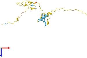 Proline Rich 13 Protein (PRR13) (AA 1-137) (His tag)