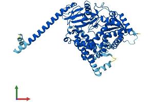 Protein Structure (PS) image for Cytochrome P450, Family 4, Subfamily F, Polypeptide 22 (CYP4F22) (AA 1-531) protein (His tag) (ABIN7546736)
