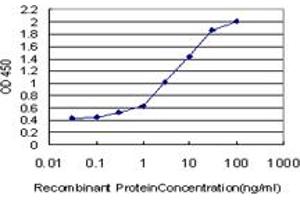 Detection limit for recombinant GST tagged RPS2 is approximately 0. (RPS2 Antikörper  (AA 198-293))