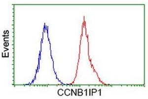 Flow cytometric Analysis of Hela cells, using anti-CCNB1IP1 antibody (ABIN2454441), (Red), compared to a nonspecific negative control antibody, (Blue). (CCNB1IP1 Antikörper)