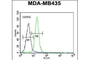 LIN28 Antibody (ABIN655496 and ABIN2845014) flow cytometric analysis of MDA-M cells (right histogram) compared to a negative control cell (left histogram). (LIN28A Antikörper)