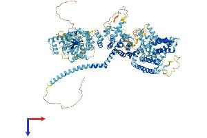 TRPM5 Protein (AA 1-1158) (His tag)