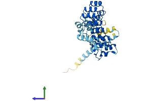 Protein Structure (PS) image for Ankyrin Repeat and SOCS Box-Containing 11 (ASB11) (AA 1-323) protein (His tag) (ABIN7560507)