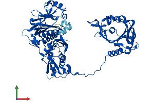 Protein Structure (PS) image for Phenylalanyl-tRNA Synthetase, beta Subunit (FARSB) (AA 1-589) protein (His tag) (ABIN7556269)