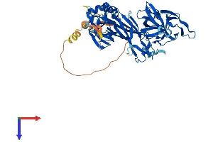 AlphaFold protein structure predicition of Human Recombinant RBPJ Protein, UniprotID Q06330 (RBPJ Protein (AA 1-500) (His tag))