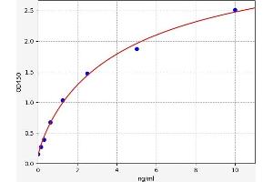 STAT3 ELISA Kit