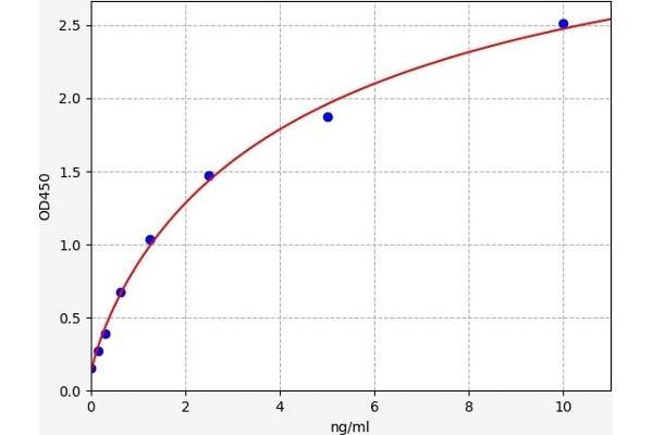 STAT3 ELISA Kit