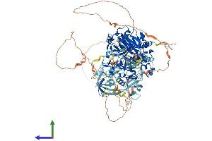 Protein Structure (PS) image for Lysine (K)-Specific Demethylase 4B (KDM4B) (AA 1-1096) protein (His tag) (ABIN7554270)