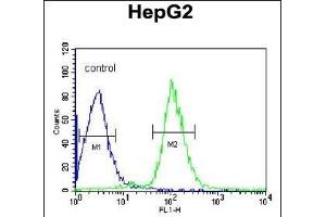 SERPINC1 Antibody (C-term) (ABIN390671 and ABIN2840966) flow cytometric analysis of HepG2 cells (right histogram) compared to a negative control cell (left histogram). (SERPINC1 Antikörper  (C-Term))