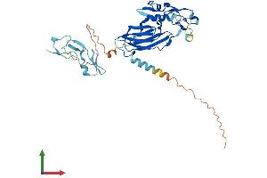 Protein Structure (PS) image for Integrin beta 1 Binding Protein (Melusin) 2 (ITGB1BP2) (AA 1-350) protein (His tag) (ABIN7561846)
