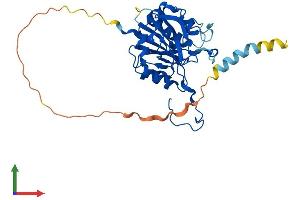 Protein Structure (PS) image for beta-1,3-Glucuronyltransferase 2 (Glucuronosyltransferase S) (B3GAT2) (AA 1-324) protein (His tag) (ABIN7556544)