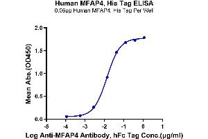 Immobilized Human MFAP4, His Tag at 0. (MFAP4 Protein (AA 22-255) (His-DYKDDDDK Tag))