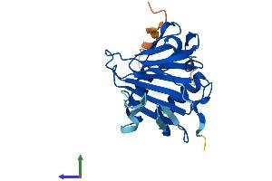 Protein Structure (PS) image for AlkB, Alkylation Repair Homolog 2 (ALKBH2) (AA 1-239) protein (His tag) (ABIN7558004)
