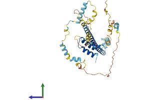 Protein Structure (PS) image for Fasciculation and Elongation Protein zeta 1 (Zygin I) (FEZ1) (AA 1-392) protein (His tag) (ABIN7559449)