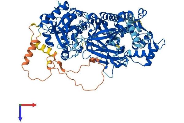 PLCD4 Protein (AA 1-807) (His tag)