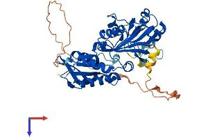 RIMKLA Protein (AA 1-391) (His tag)