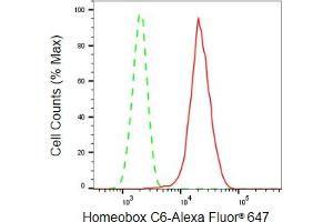 Flow cytometric analysis of Homeobox C6 expression in HepG2 cells using Homeobox C6 antibody (ABIN7798994), 1:2,000). (Rekombinanter Homeobox C6 Antikörper)