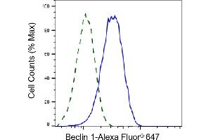 Validation of Beclin 1 knockdown using flow cytometry.