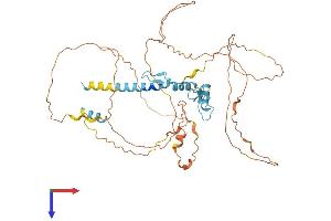 EGR4 Protein (AA 1-478) (His tag)