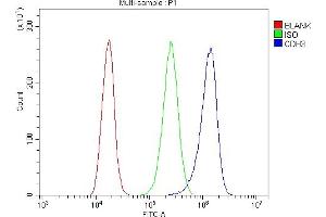 Flow Cytometry analysis of A431 cells using anti-P cadherin/CDH3 antibody (ABIN6719500). (P-Cadherin Antikörper  (AA 126-336))