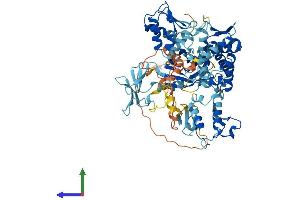 Protein Structure (PS) image for SMAD Specific E3 Ubiquitin Protein Ligase 2 (SMURF2) (AA 1-748) protein (His tag) (ABIN7555579)