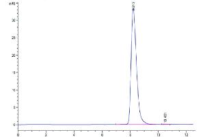 Size-exclusion chromatography-High Pressure Liquid Chromatography (SEC-HPLC) image for Carcinoembryonic Antigen-Related Cell Adhesion Molecule 6 (CEACAM6) (AA 35-320) protein (His tag) (ABIN7274021)
