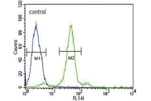 Flow Cytometry (FACS) image for anti-Folate Receptor 1 (Adult) (FOLR1) antibody (ABIN2995785) (FOLR1 Antikörper)