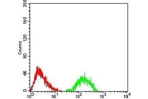 Flow cytometric analysis of Jurkat cells using ATXN1 mouse mAb (green) and negative control (red).