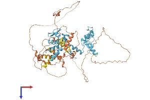 ZBTB7A Protein (AA 1-584) (His tag)