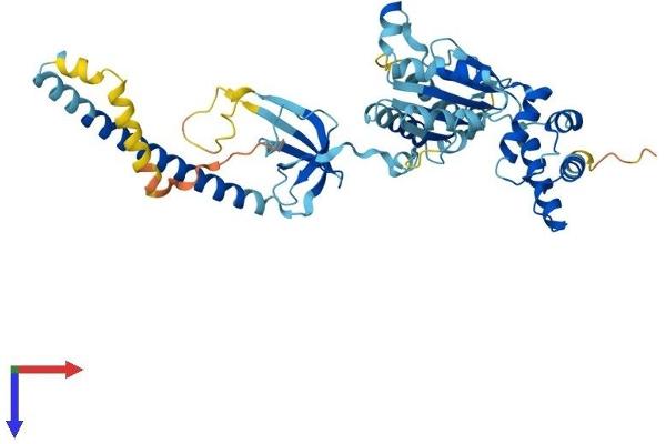 PSMC3 Protein (AA 1-442) (His tag)