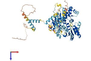DDX41 Protein (AA 1-622) (His tag)