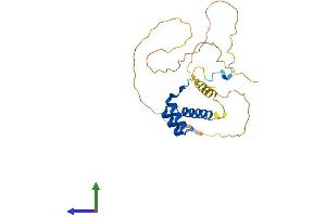 Protein Structure (PS) image for Homeobox B8 (HOXB8) (AA 1-243) protein (His tag) (ABIN7562780)