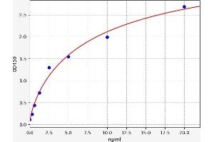 SDCBP ELISA Kit