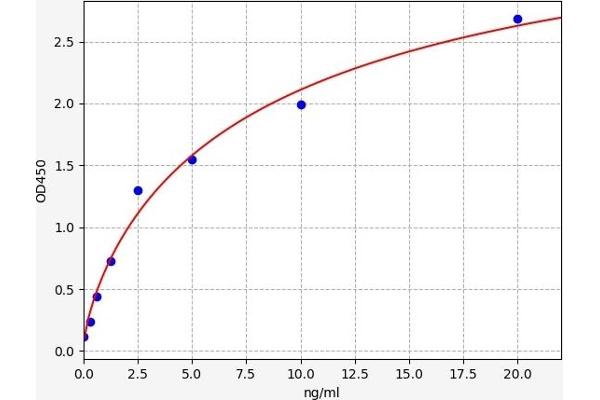 SDCBP ELISA Kit