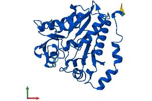 Protein Structure (PS) image for Glucosamine-6-Phosphate Deaminase 2 (GNPDA2) (AA 1-276) protein (His tag) (ABIN7548089)