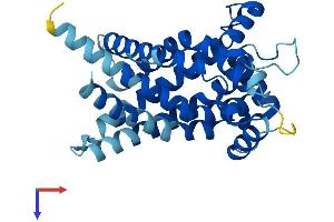 SLC25A21 Protein (AA 1-298) (His tag)