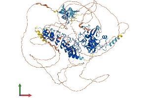 Protein Structure (PS) image for Euchromatic Histone-Lysine N-Methyltransferase 1 (EHMT1) (AA 1-1298) protein (His tag) (ABIN7553777)