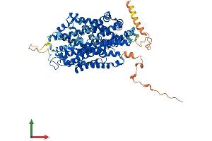 AlphaFold protein structure predicition of Mouse Recombinant Slc6a7 Protein, UniprotID Q6PGE7 (SLC6A7 Protein (AA 1-637) (His tag))