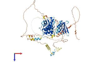 EPB41L4A Protein (AA 1-686) (His tag)